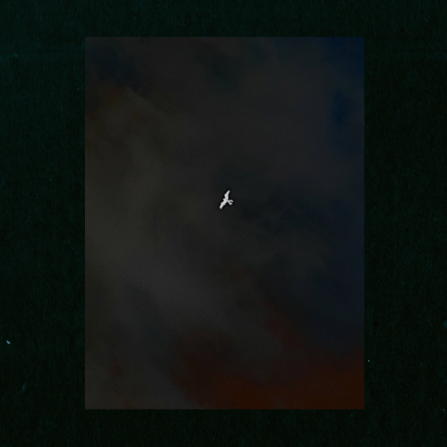 Pale Shroud : On Top O the Mound